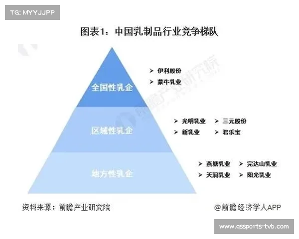 拳击器材行业集中度分析，第一梯队、第二梯队企业市场份额